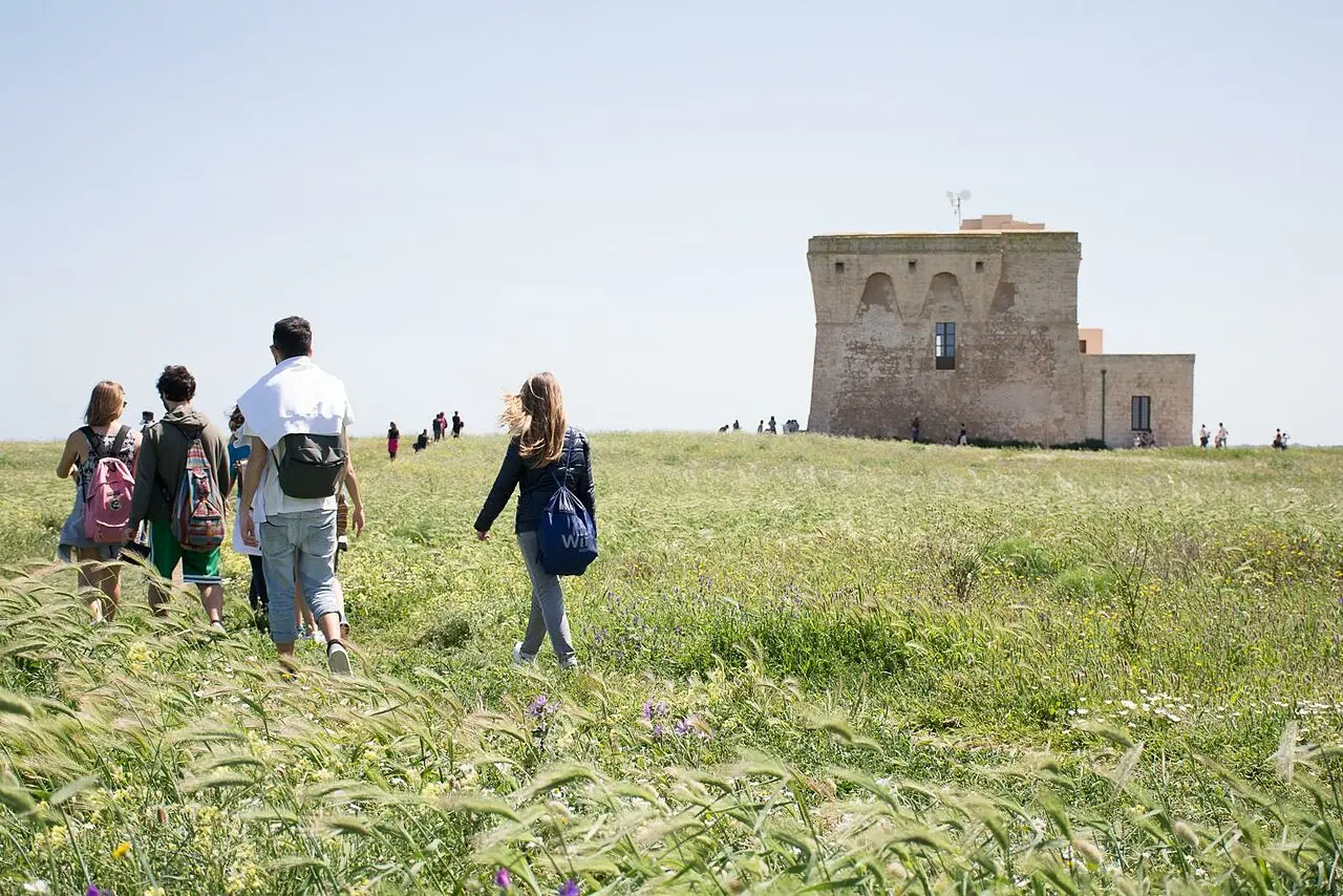 torre guaceto
