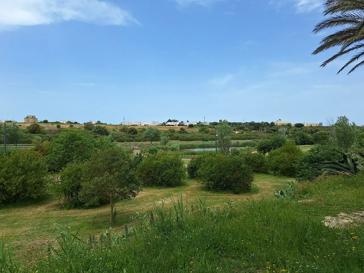 parco del Cillarese