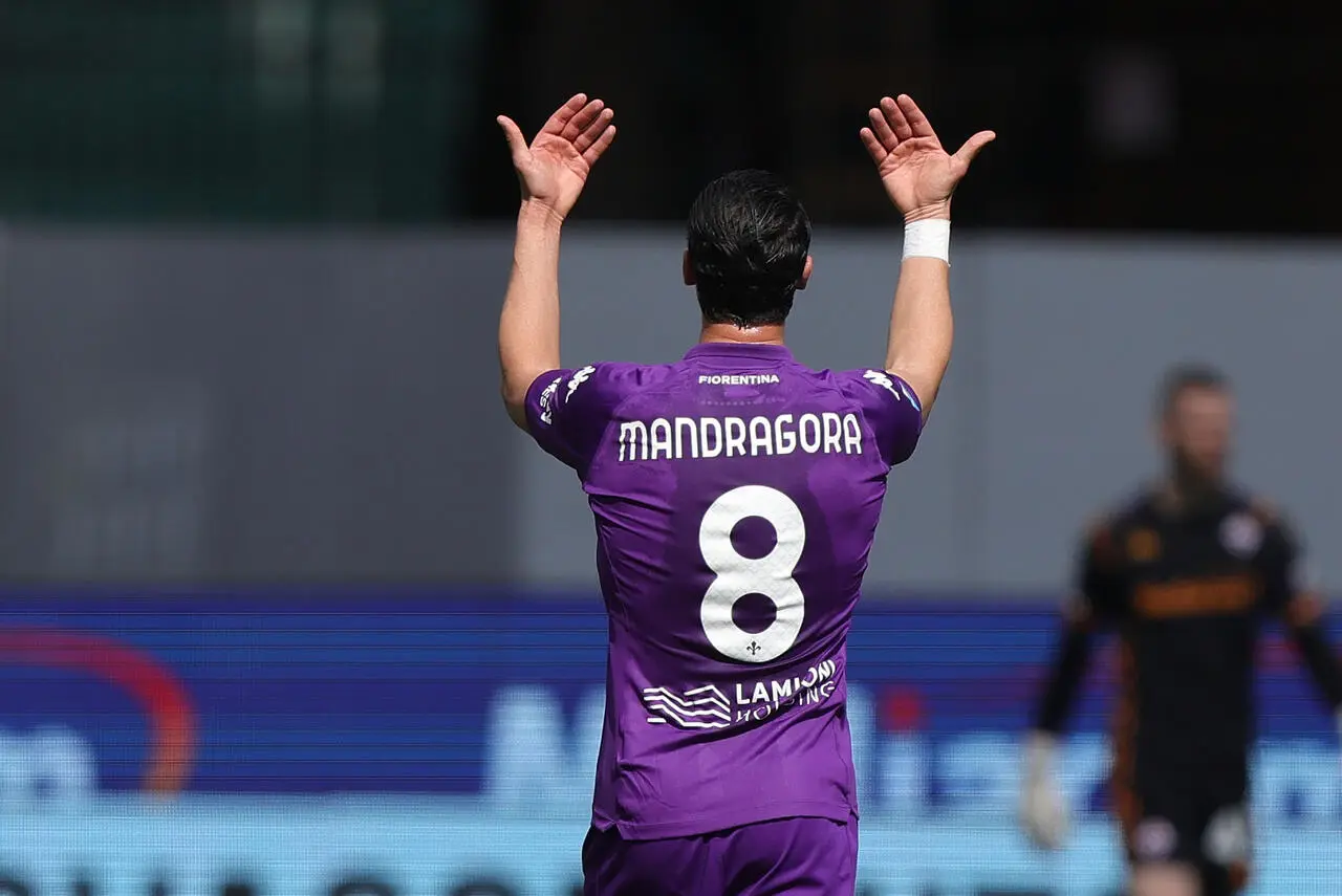Mandragora