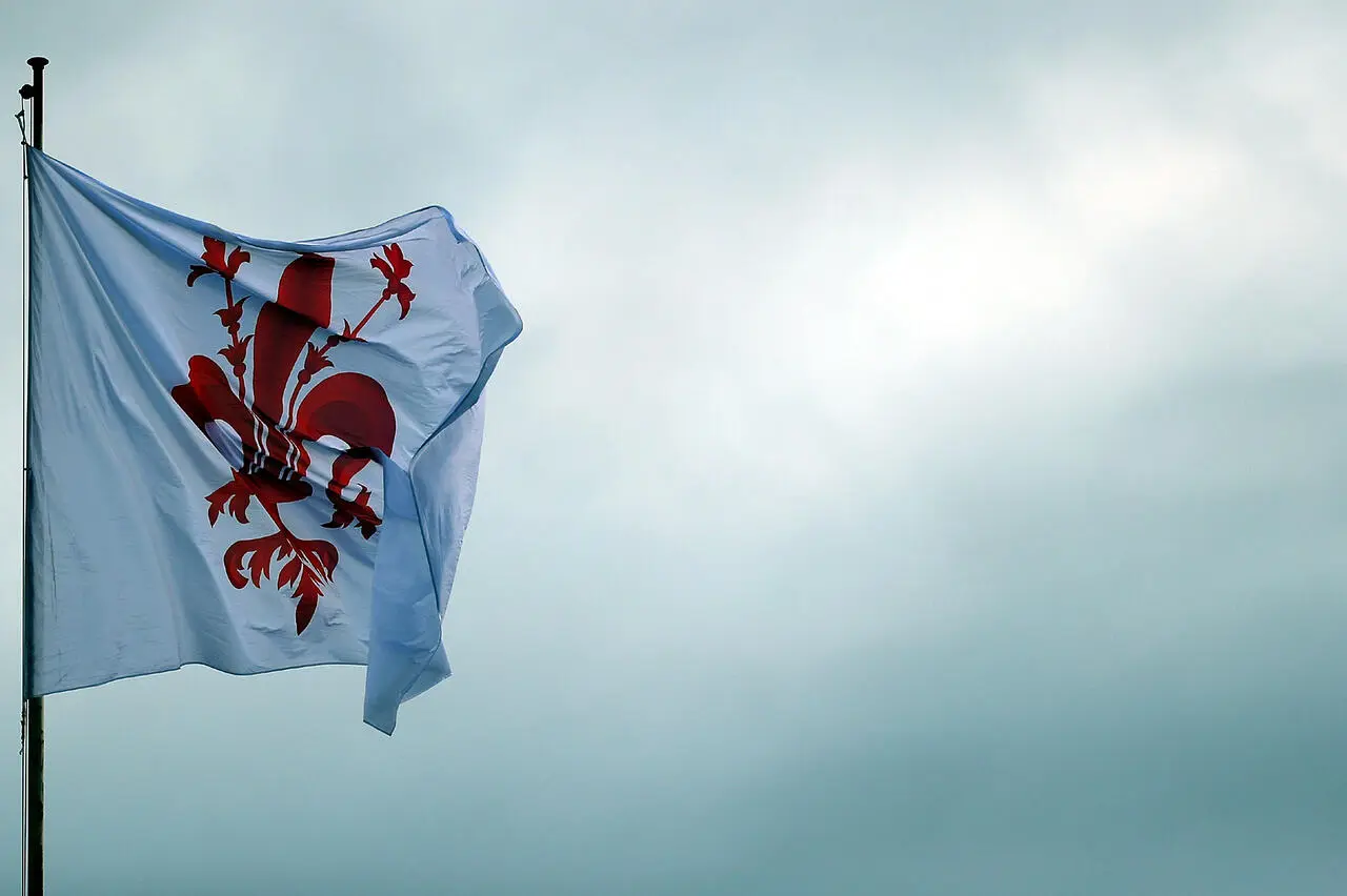 Bandiera Fiorentina