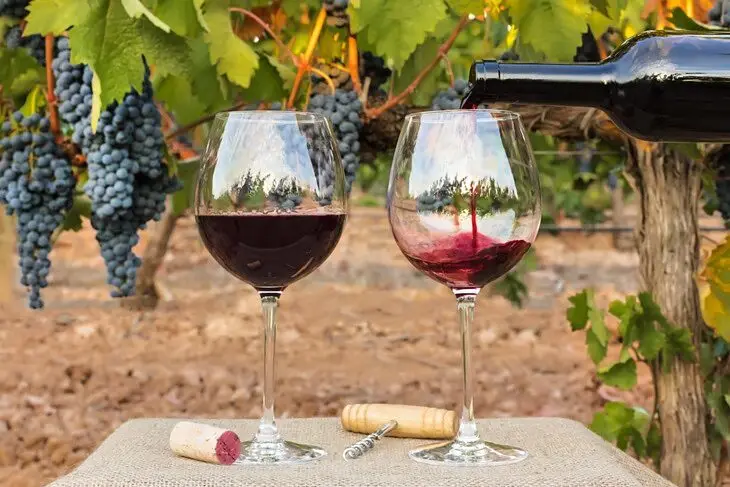 vino