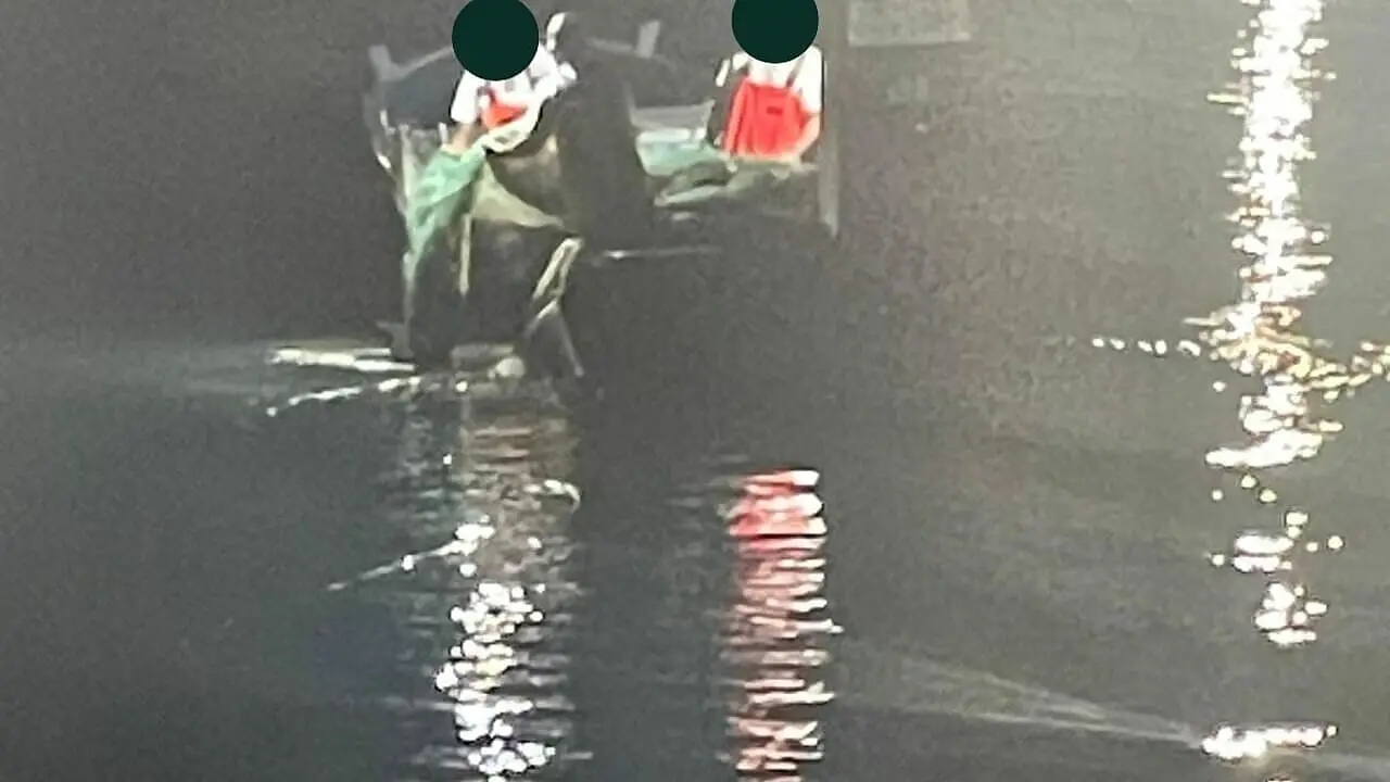 pesca abusiva
