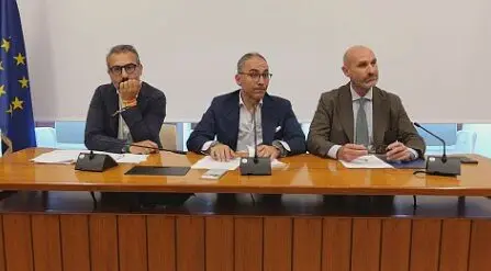 piemontese-paolicelli-vasile