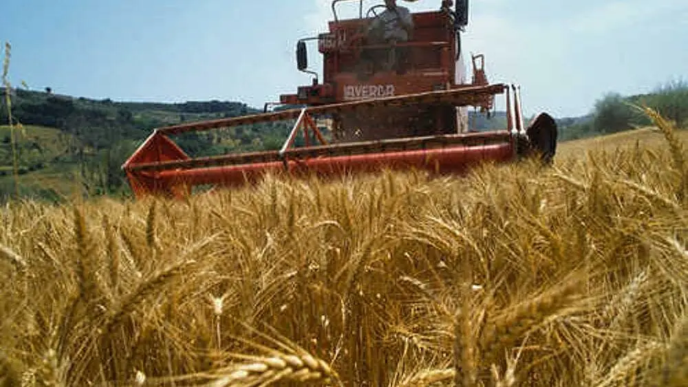 agricoltura-mietitrebbia