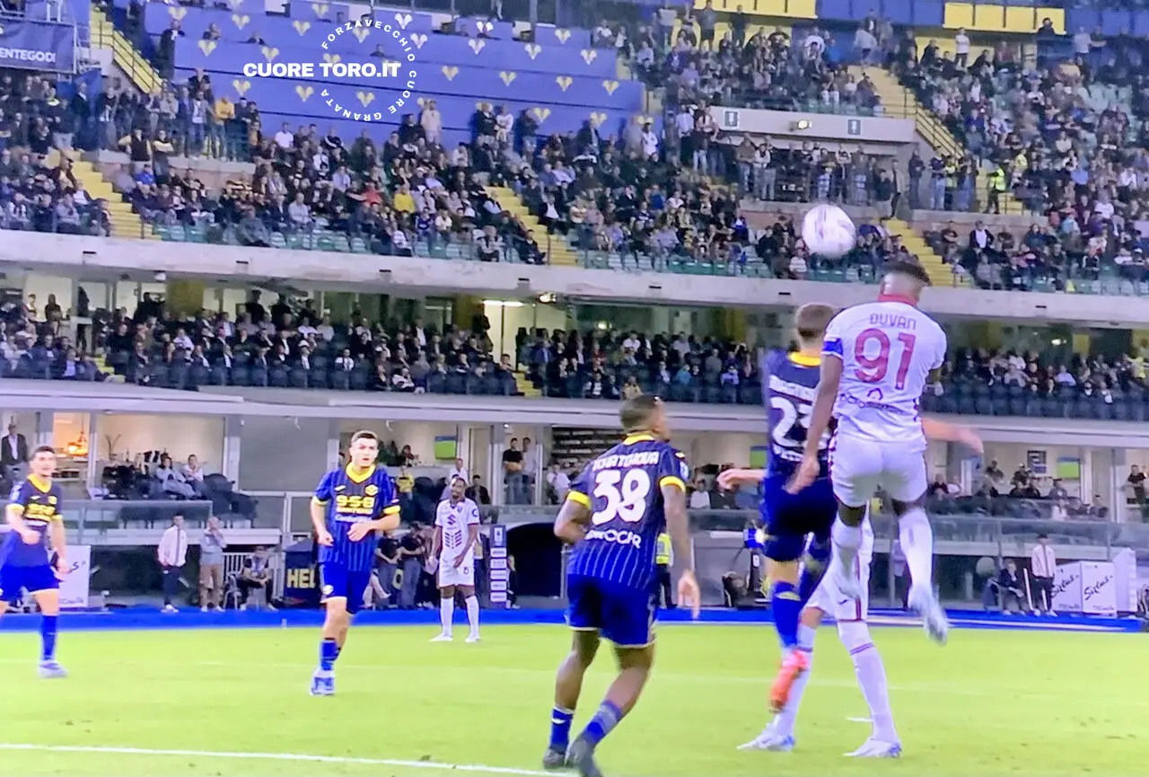 Verona Torino Zapata