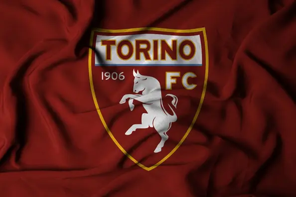 Bandiera del Torino