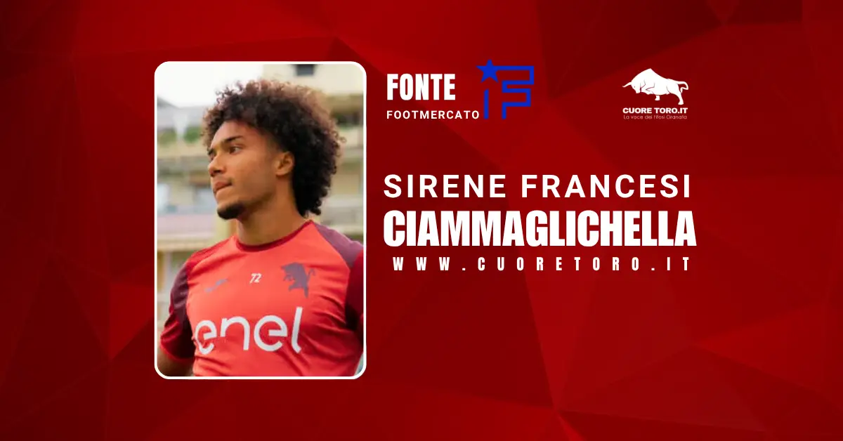 Aaron Ciammaglichella, Torino Fc
