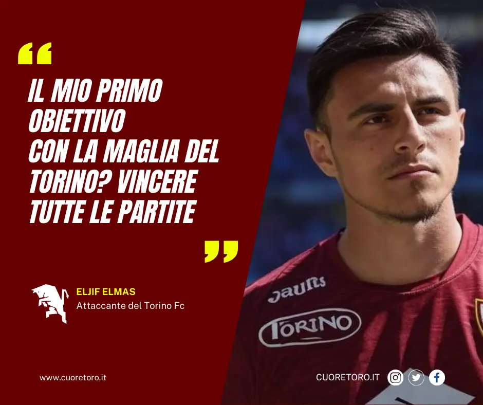 Dichiarazioni Elmas