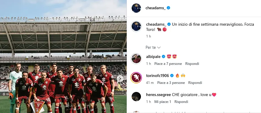 Torino Verona, le reazioni dei giocatori sui social