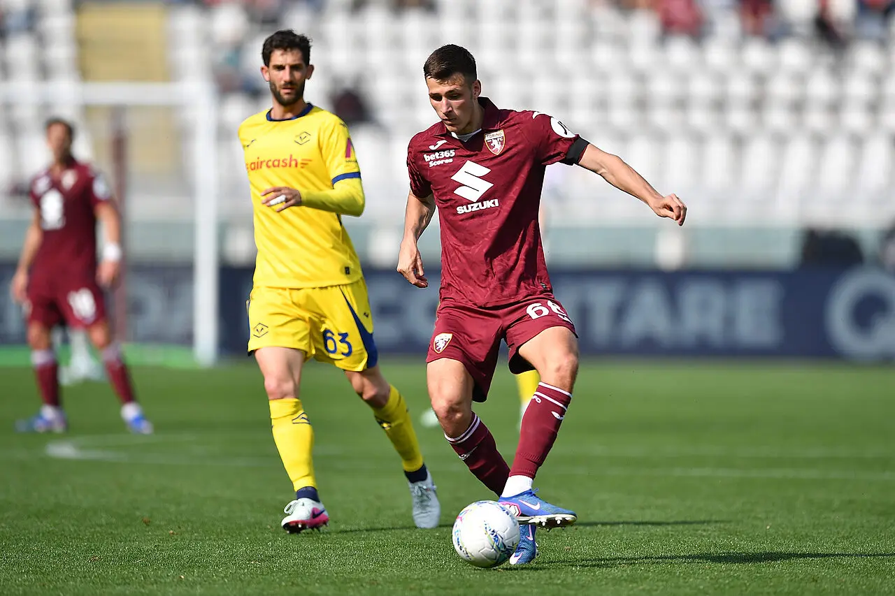 Torino Verona: le statistiche della partita