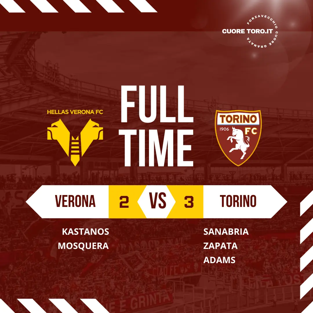 Verona Torino 2-3