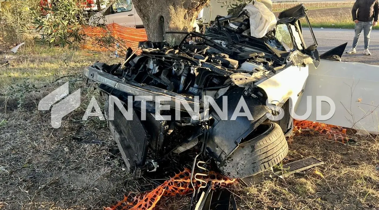 Foto Francesco Manfuso