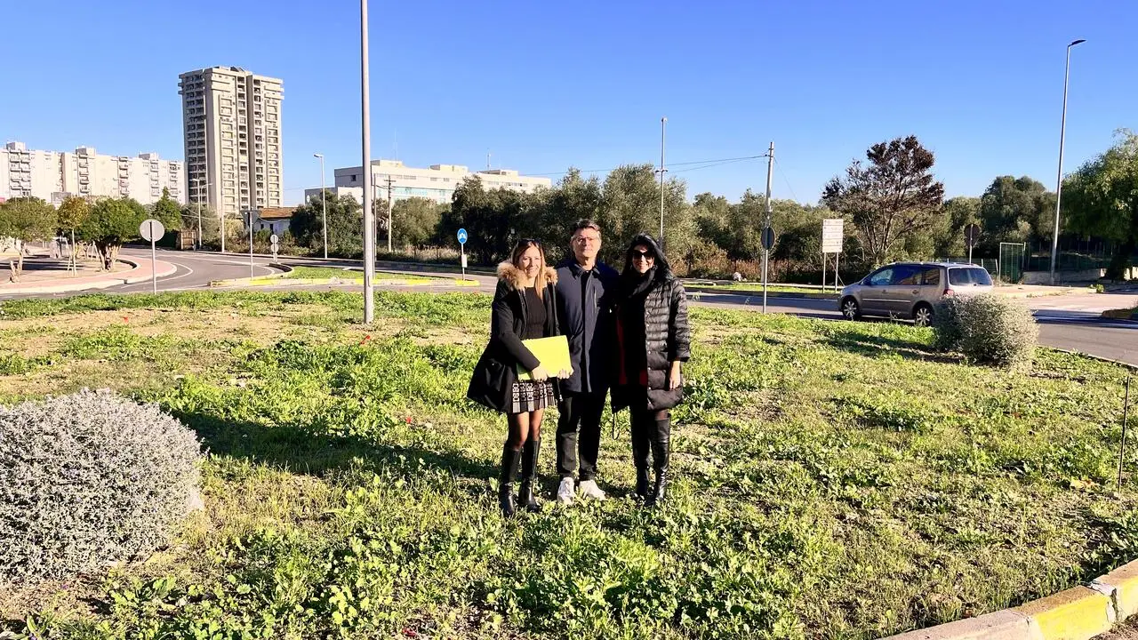 Rotatoria di via Scoglio del Tonno