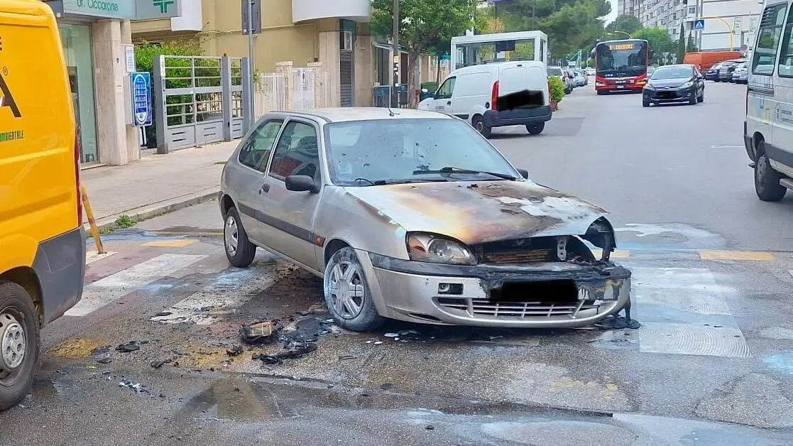 Foto Francesco Manfuso