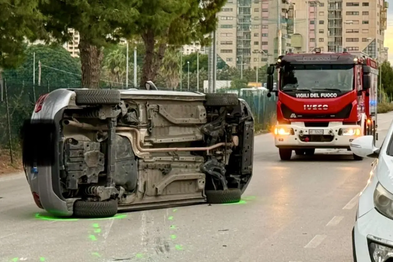 Foto Francesco Manfuso