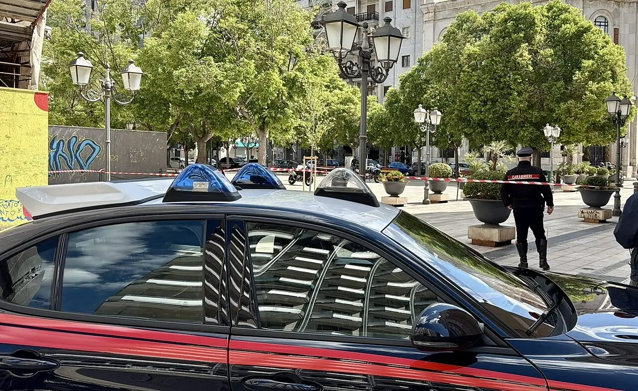 Foto Francesco Manfuso