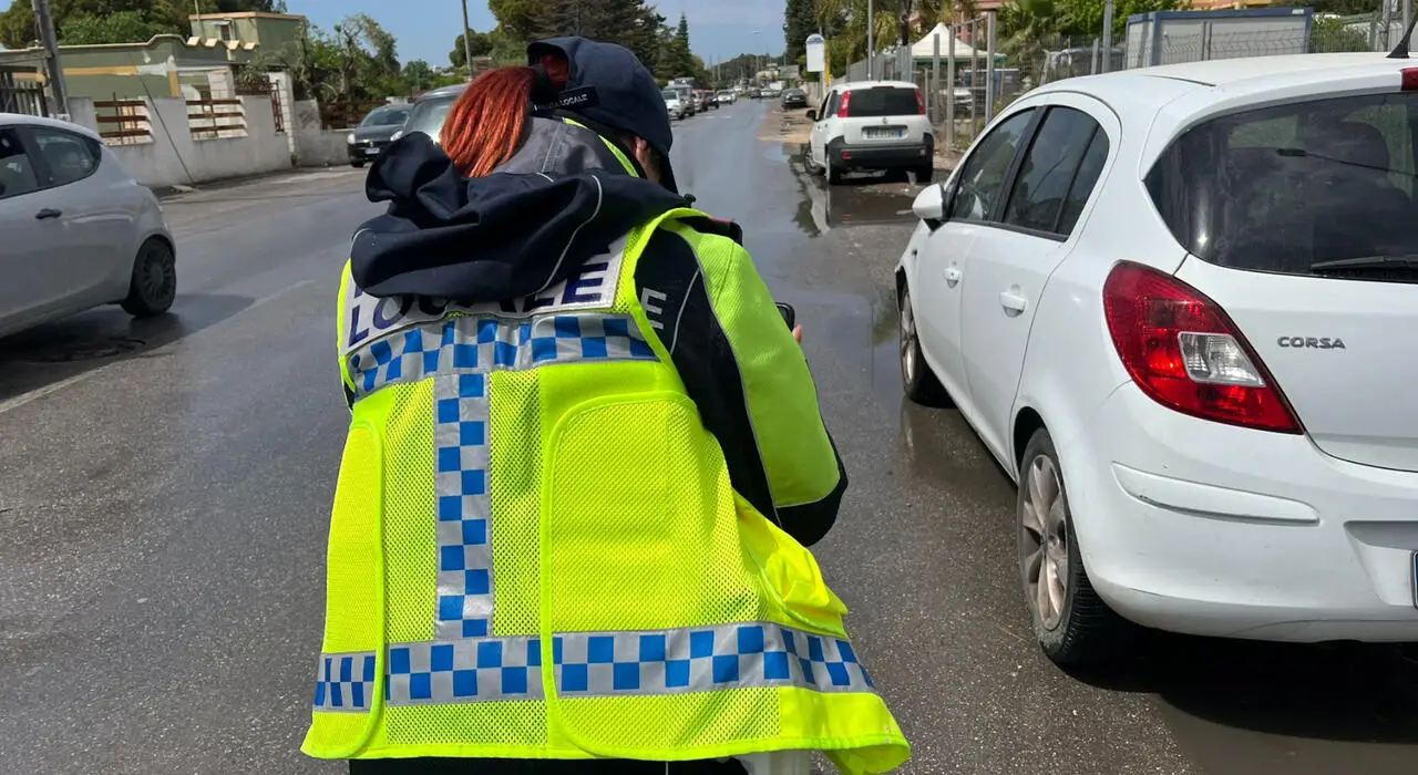 Foto Francesco Manfuso