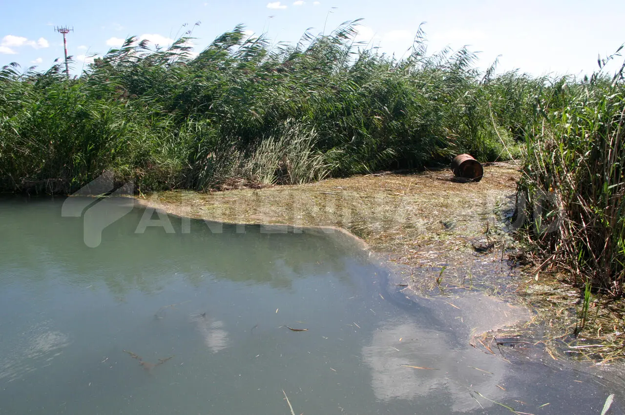 Fiume Tara (foto Todaro/AntennaSud)