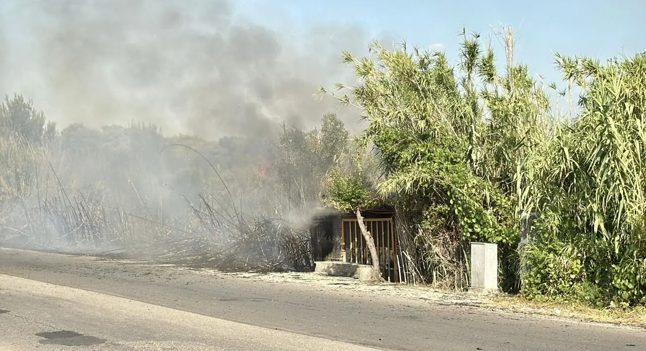 Foto Francesco Manfuso