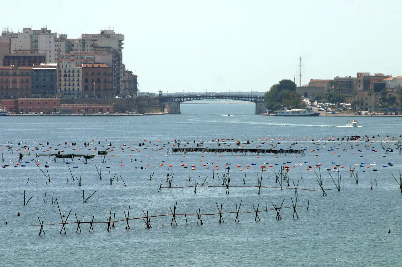 Mar Piccolo (foto Massimo Todaro)
