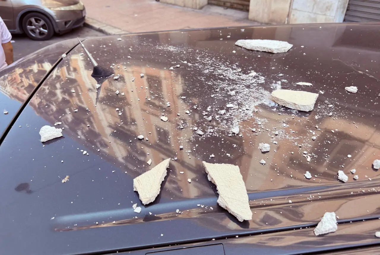 Foto Francesco Manfuso