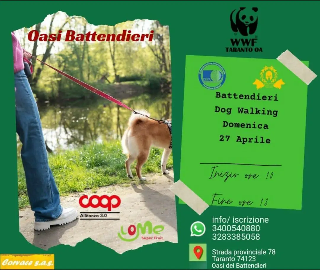 Battendieri Dog Walking