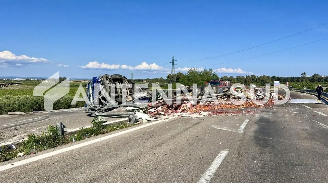 Foto Francesco Manfuso