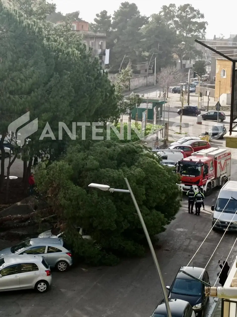 Foto Francesco Manfuso