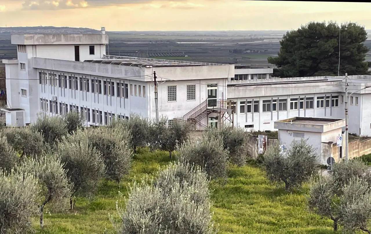 Scuola Media Pascoli - Succursale Mondelli