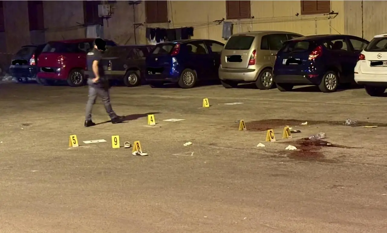 Foto Francesco Manfuso