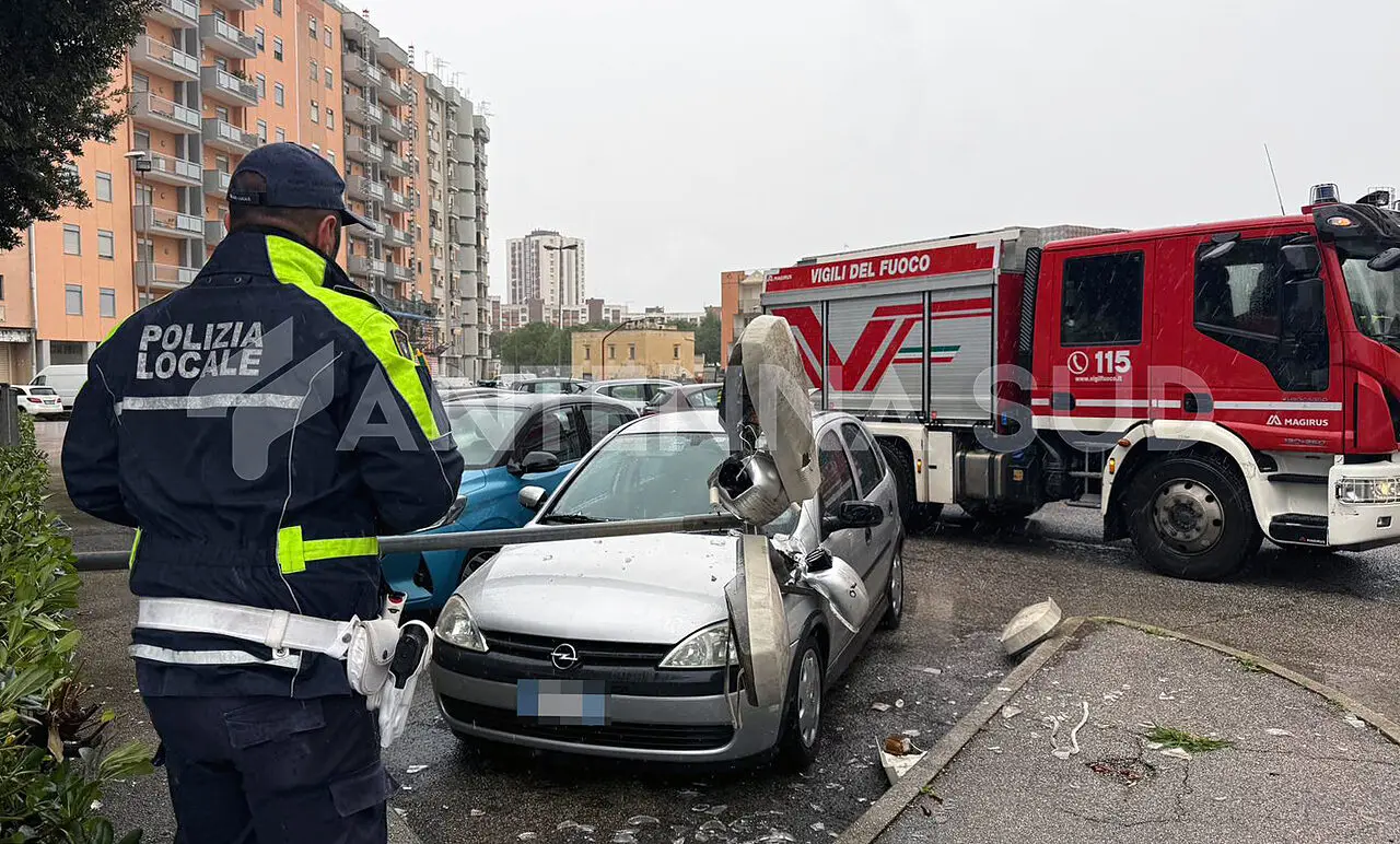 Foto Francesco Manfuso