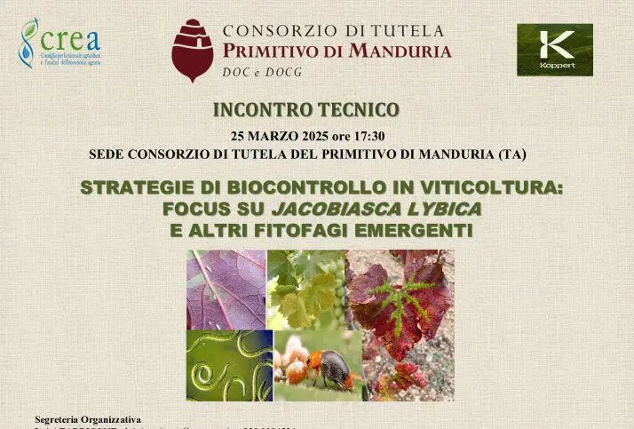 Viticoltura e sostenibilità