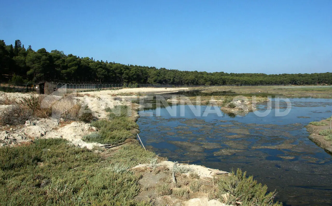 La Palude La Vela (foto Todaro/AntennaSud)