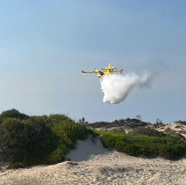 Foto Francesco Manfuso