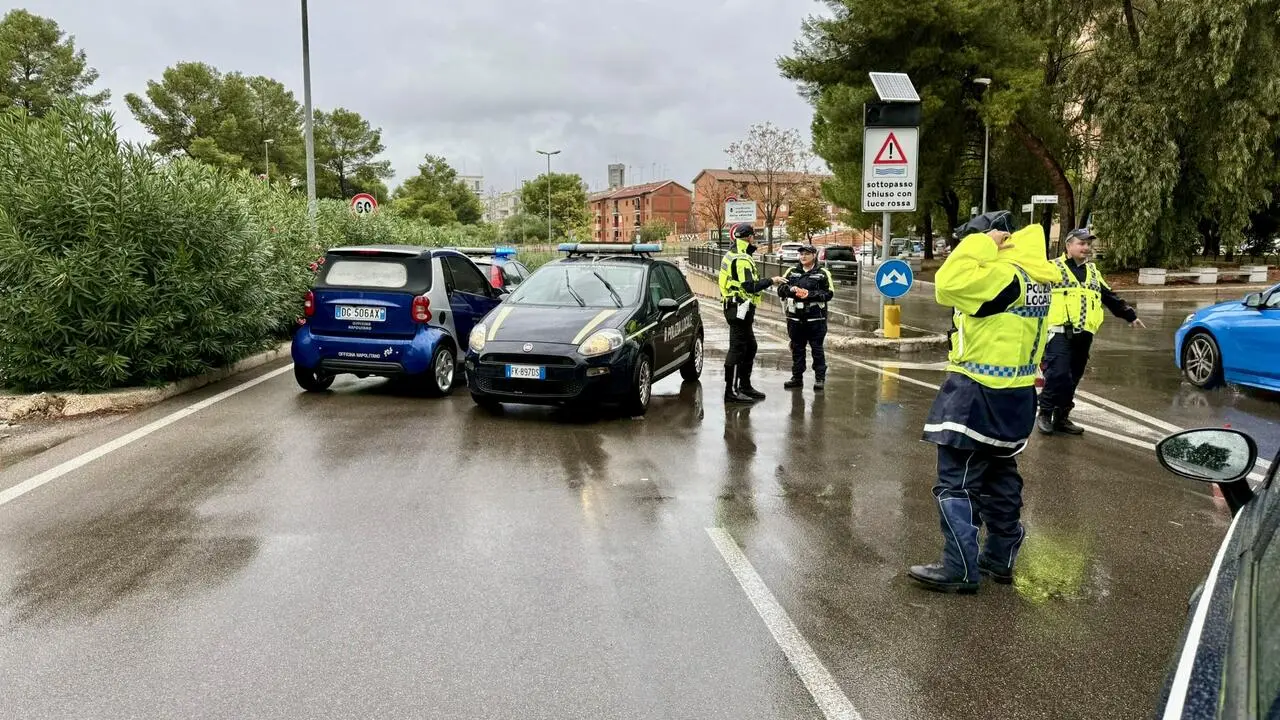 Foto Francesco Manfuso