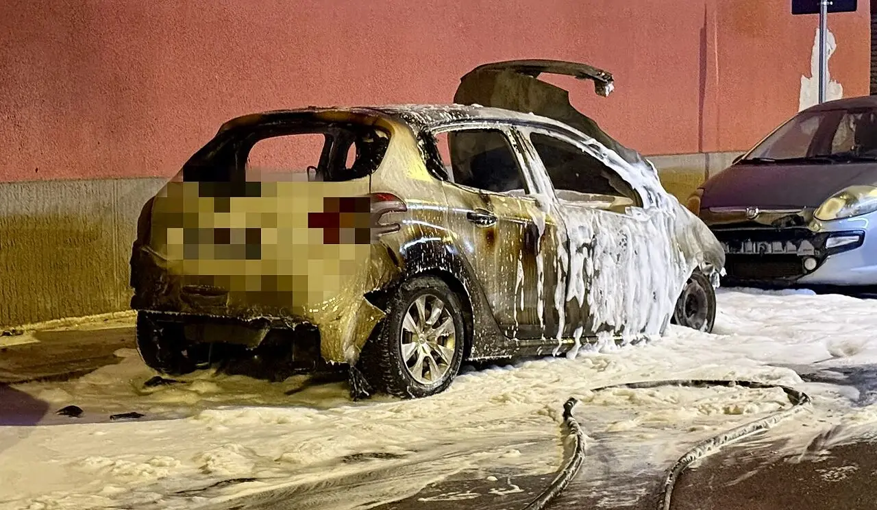 Foto Francesco Manfuso