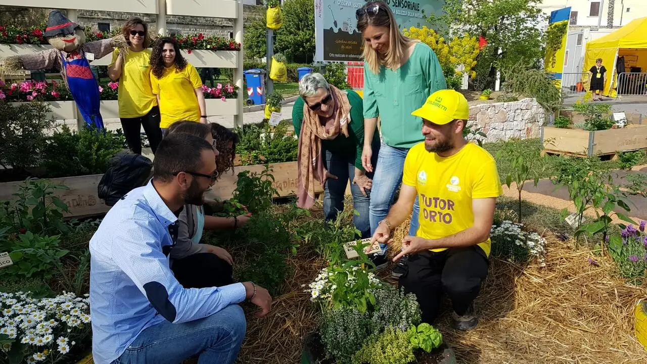 Tutor dell’orto Coldiretti