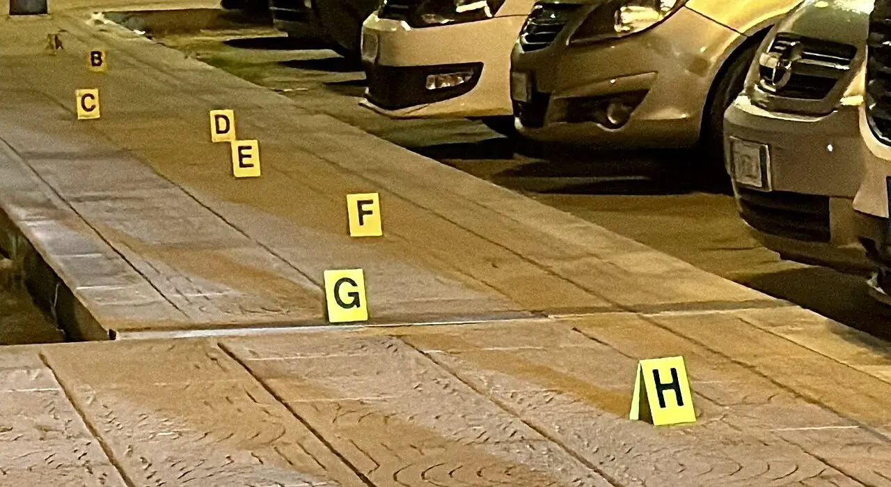 Foto Francesco Manfuso