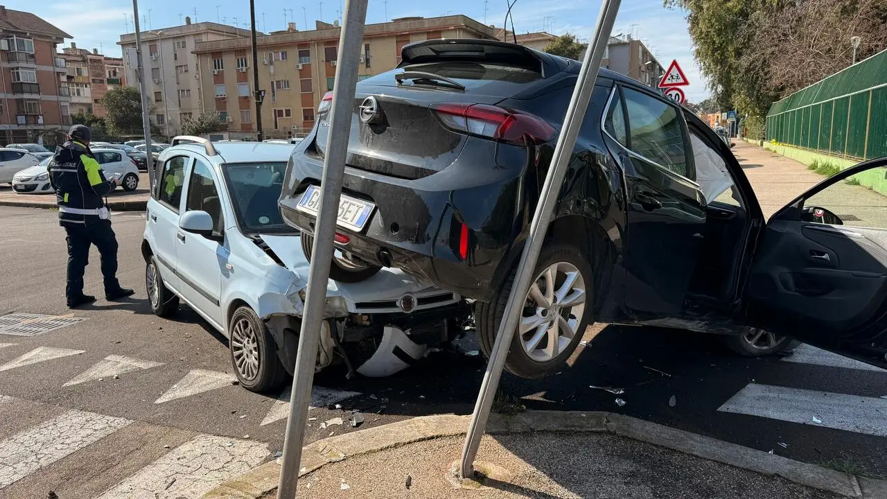 Foto Francesco Manfuso