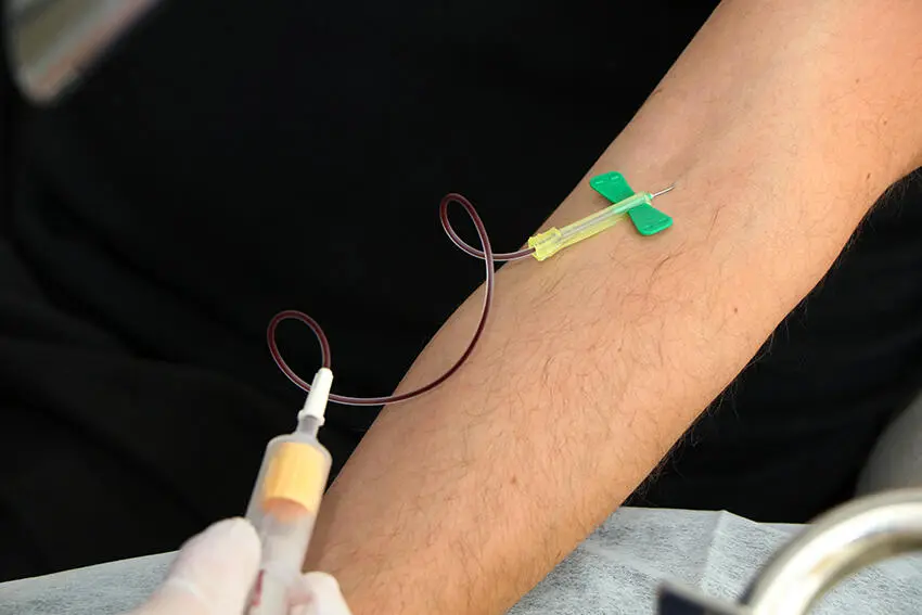 Prelievo del sangue (foto Massimo Todaro)