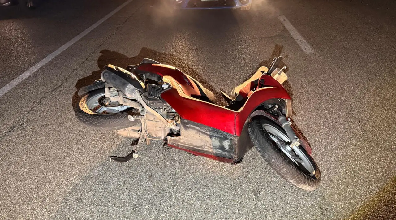 Foto Francesco Manfuso