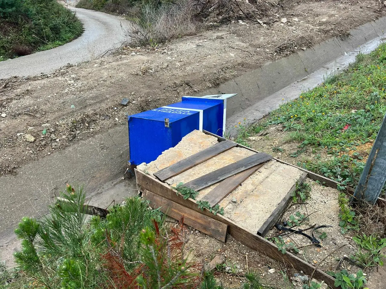 Foto Francesco Manfuso