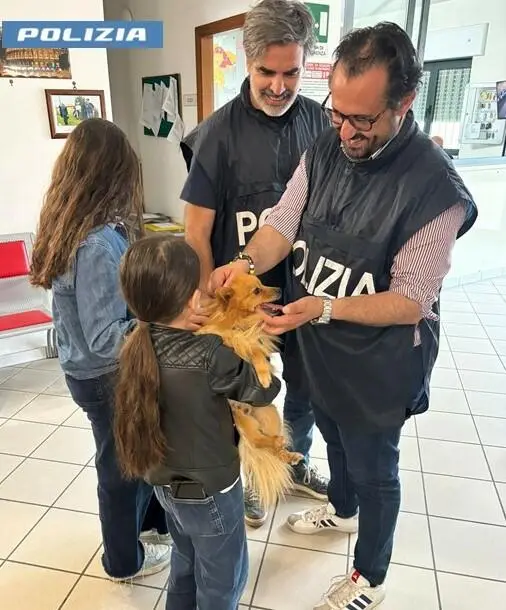 Manduria: Ruba un volpino da un giardino