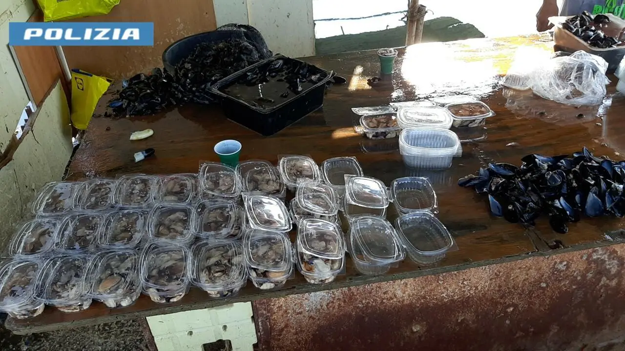 Le cozze sequestrate