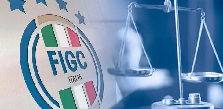 Tribunale Federale Nazionale–Sezione Disciplinare