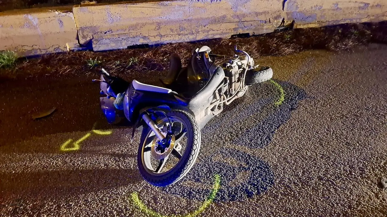 Foto Francesco Manfuso