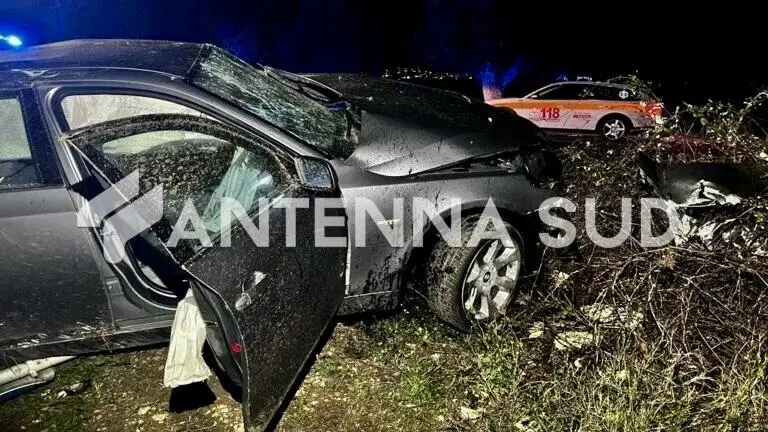 Foto Francesco Manfuso