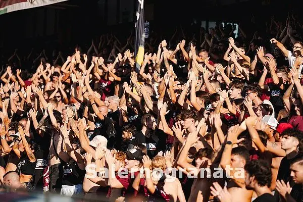 Tifosi