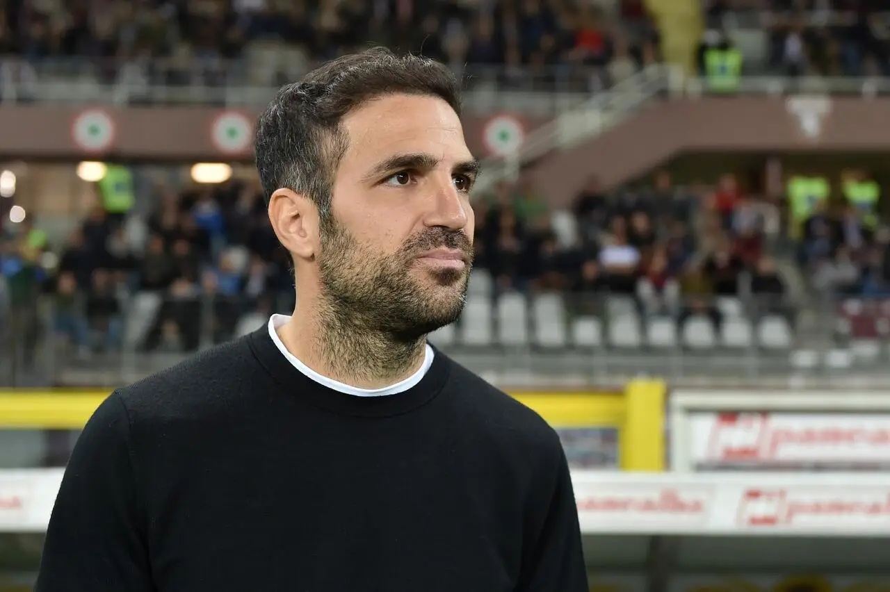Fabregas - IPA