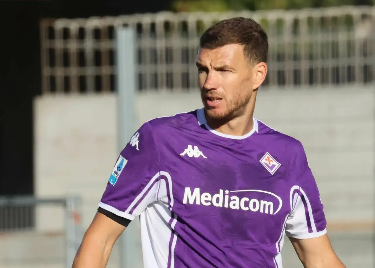 Edin Dzeko